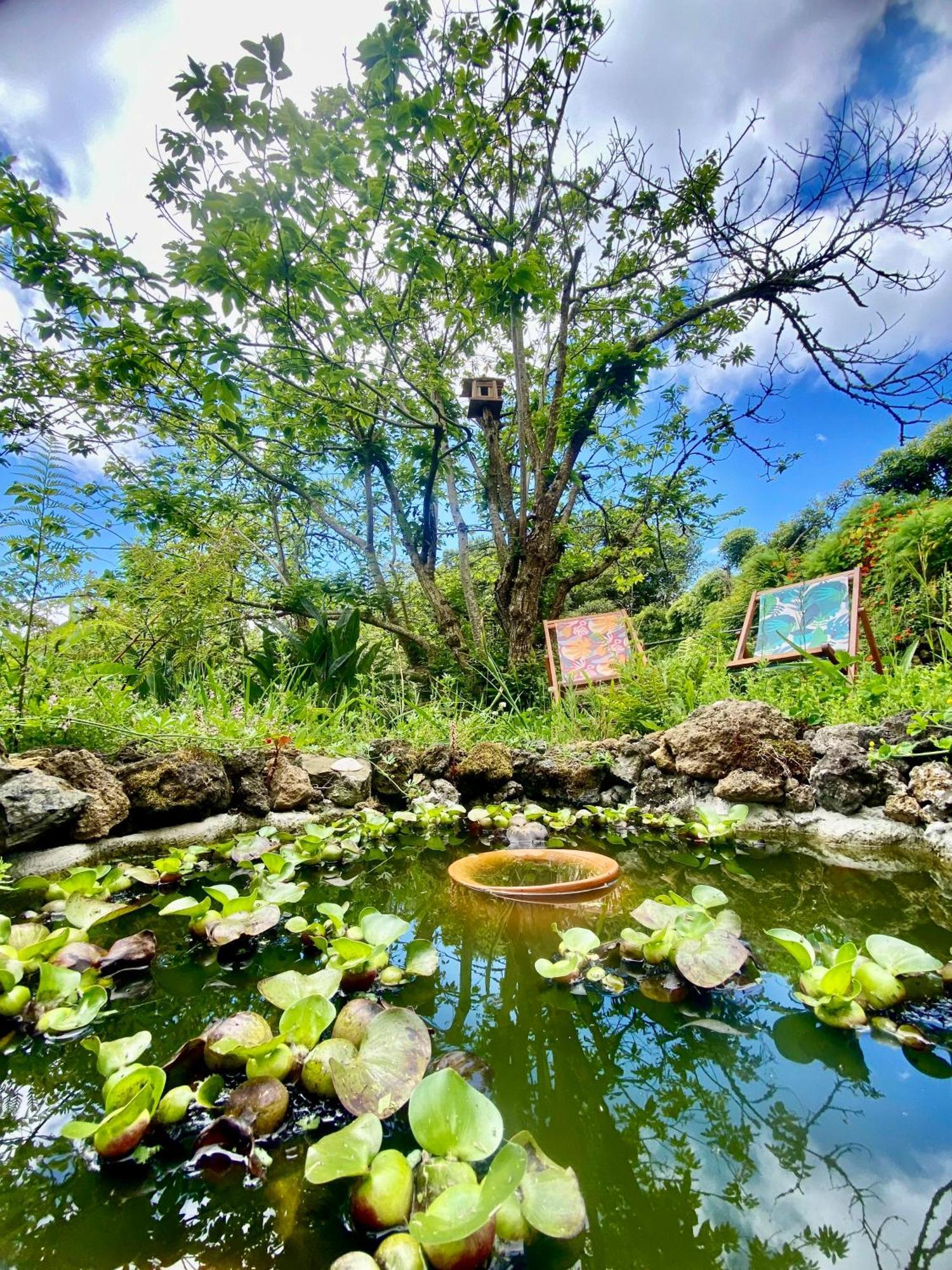 Casa Dos Castanheiros Angra Do Heroismo Terra Chã Zewnętrze zdjęcie